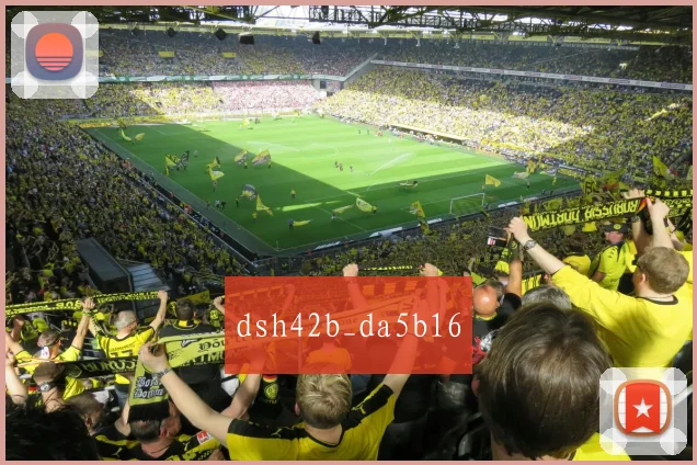 dsh42b_da5b16