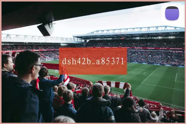 dsh42b_a85371