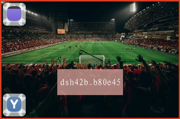 dsh42b_b80e45