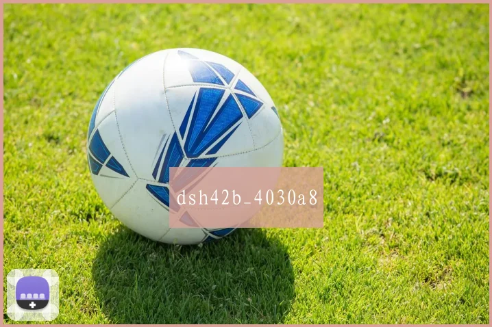 dsh42b_4030a8