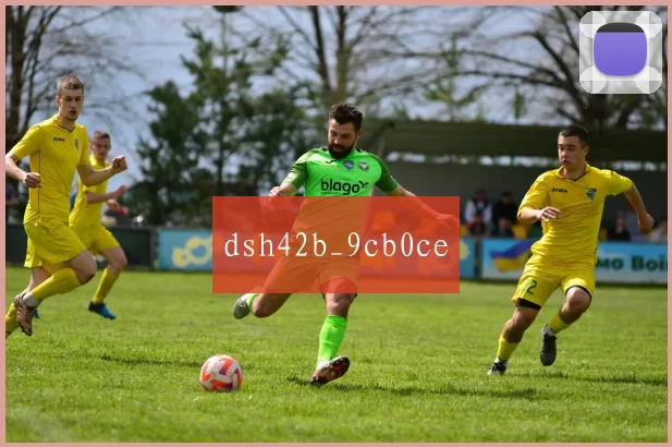dsh42b_9cb0ce