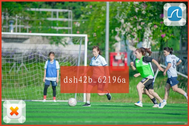 dsh42b_62196a