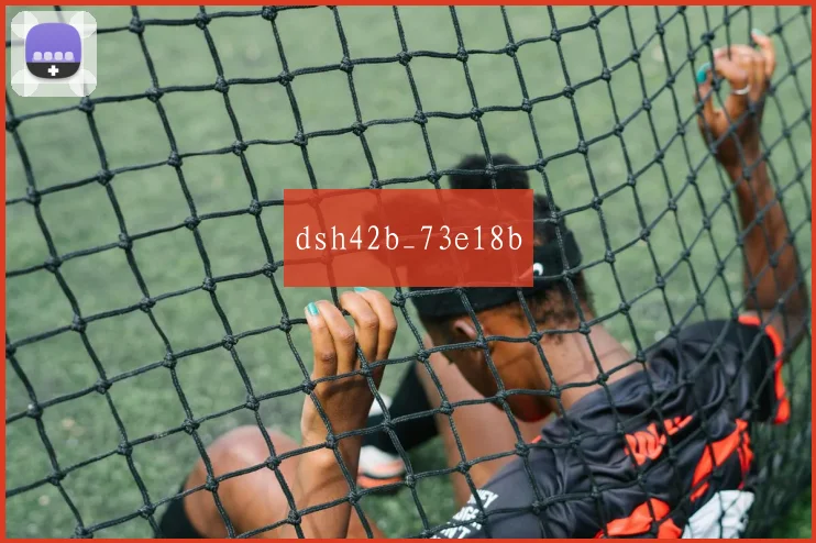 dsh42b_73e18b